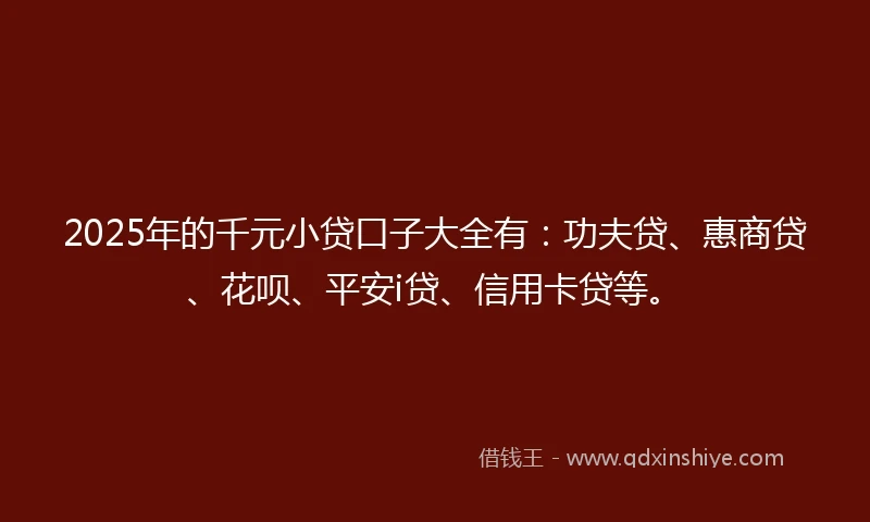 2025年的千元小贷口子大全有：功夫贷、惠商贷、花呗、平安i贷、信用卡贷等。