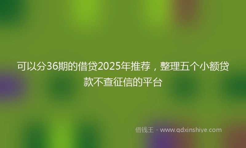 可以分36期的借贷2025年推荐，整理五个小额贷款不查征信的平台