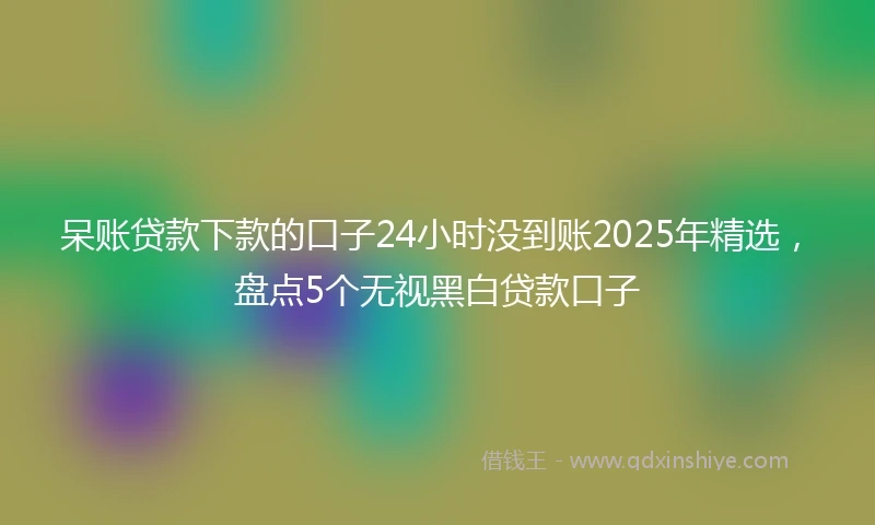 呆账贷款下款的口子24小时没到账2025年精选，盘点5个无视黑白贷款口子