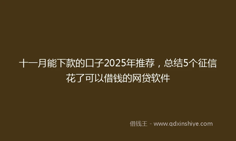 十一月能下款的口子2025年推荐，总结5个征信花了可以借钱的网贷软件