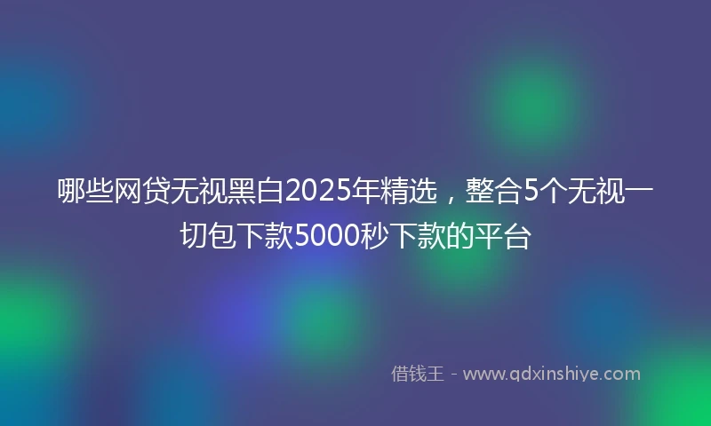 哪些网贷无视黑白2025年精选，整合5个无视一切包下款5000秒下款的平台