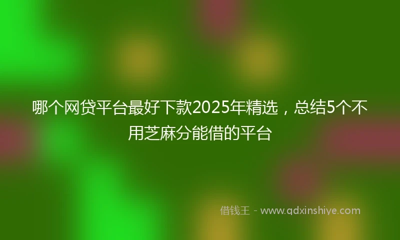 哪个网贷平台最好下款2025年精选，总结5个不用芝麻分能借的平台