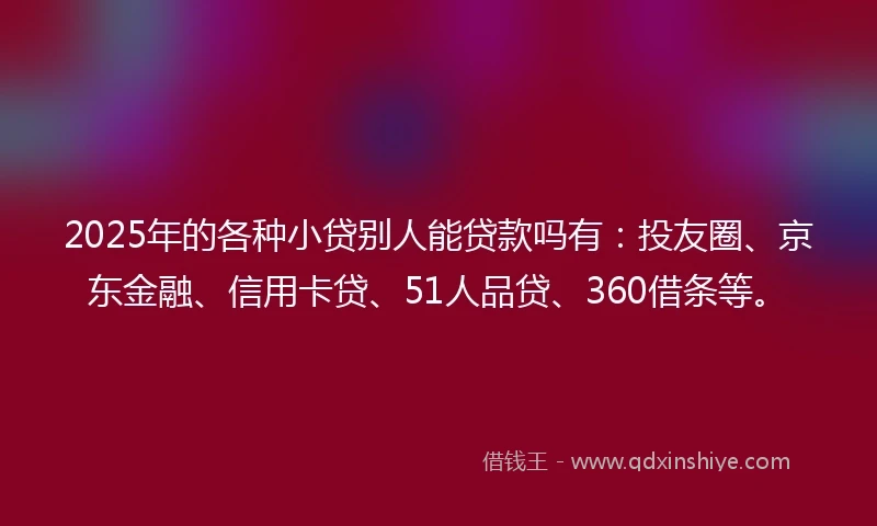2025年的各种小贷别人能贷款吗有：投友圈、京东金融、信用卡贷、51人品贷、360借条等。