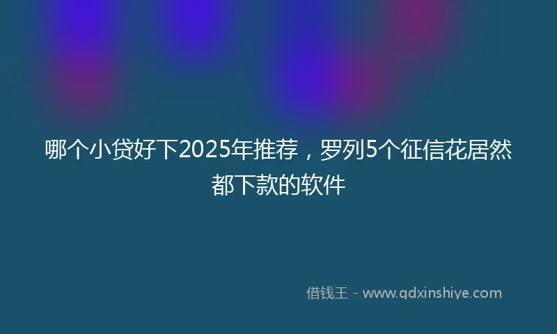 哪个小贷好下2025年推荐，罗列5个征信花居然都下款的软件