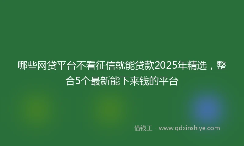 哪些网贷平台不看征信就能贷款2025年精选，整合5个最新能下来钱的平台