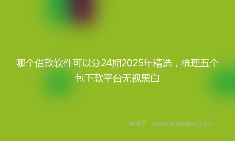 哪个借款软件可以分24期2025年精选，梳理五个包下款平台无视黑白