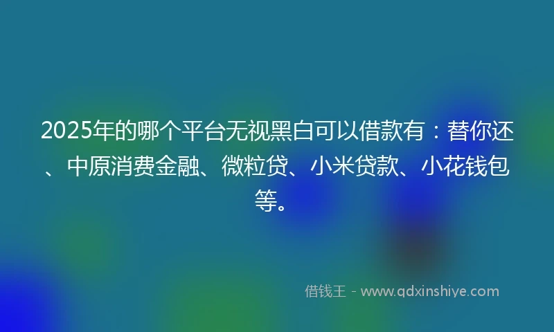 2025年的哪个平台无视黑白可以借款有：替你还、中原消费金融、微粒贷、小米贷款、小花钱包等。