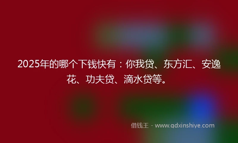 2025年的哪个下钱快有：你我贷、东方汇、安逸花、功夫贷、滴水贷等。