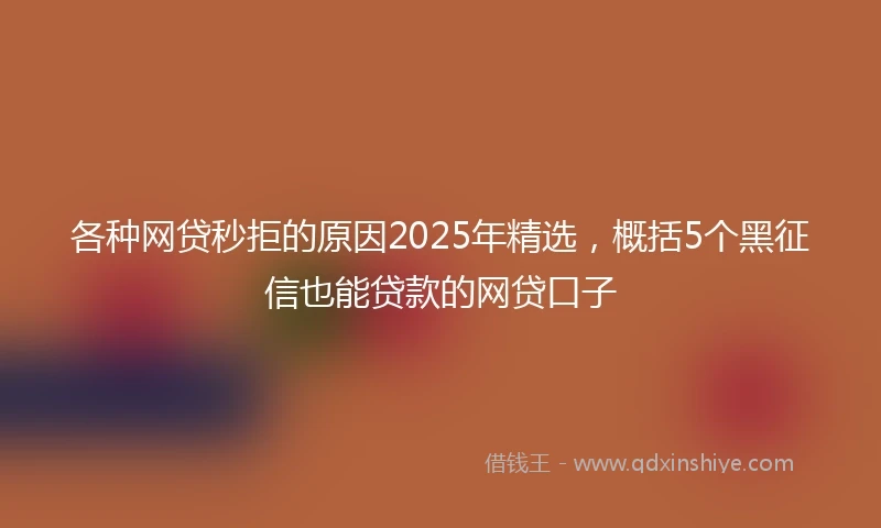 各种网贷秒拒的原因2025年精选,概括5个黑征信也能贷款的网贷口子