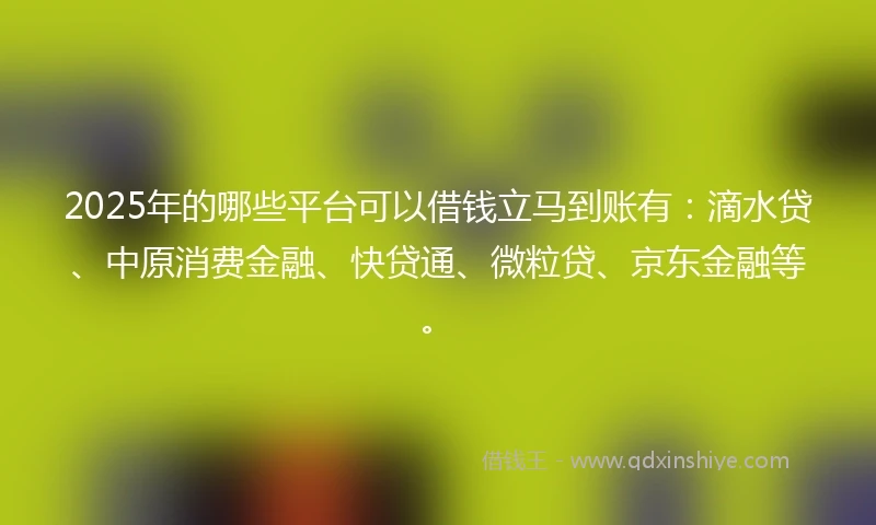 2025年的哪些平台可以借钱立马到账有：滴水贷、中原消费金融、快贷通、微粒贷、京东金融等。