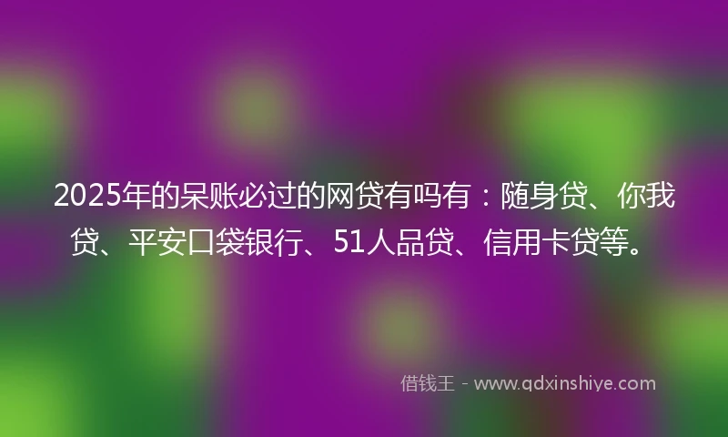 2025年的呆账必过的网贷有吗有：随身贷、你我贷、平安口袋银行、51人品贷、信用卡贷等。