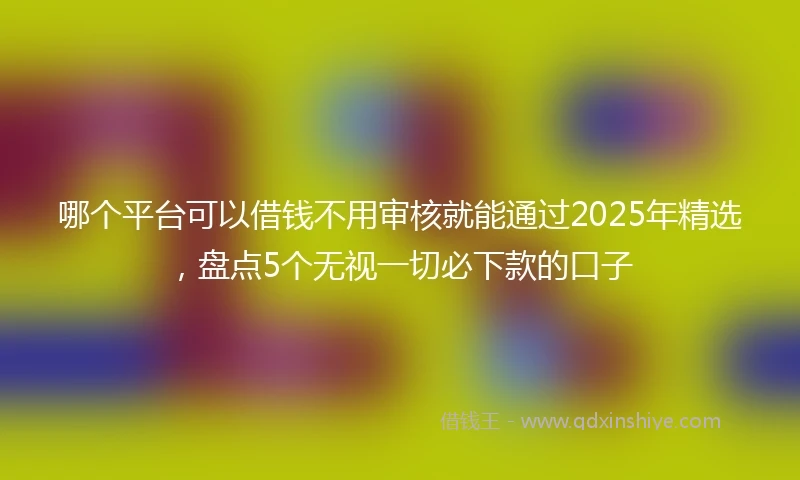 哪个平台可以借钱不用审核就能通过2025年精选，盘点5个无视一切必下款的口子
