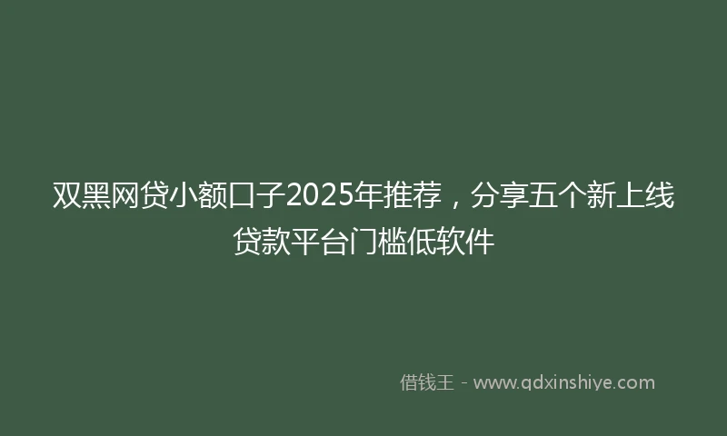 双黑网贷小额口子2025年推荐，分享五个新上线贷款平台门槛低软件