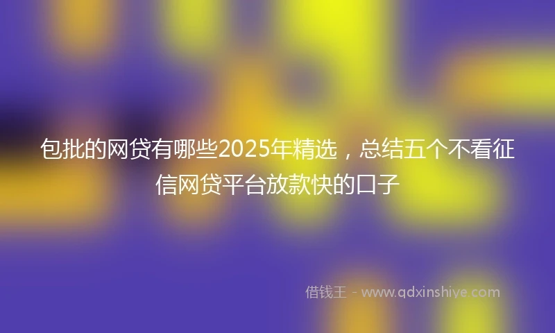 包批的网贷有哪些2025年精选，总结五个不看征信网贷平台放款快的口子