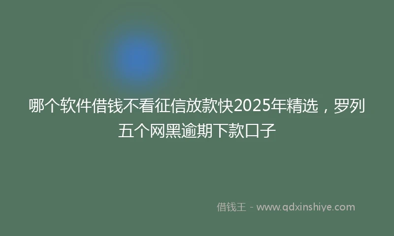 哪个软件借钱不看征信放款快2025年精选，罗列五个网黑逾期下款口子