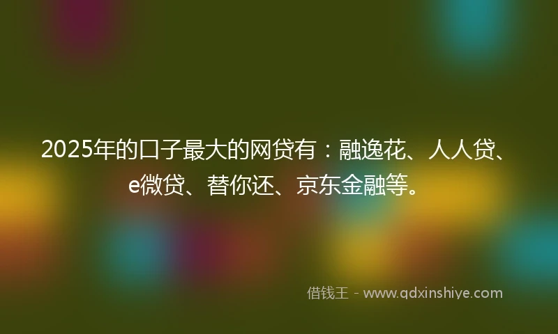 2025年的口子最大的网贷有：融逸花、人人贷、e微贷、替你还、京东金融等。