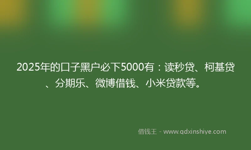 2025年的口子黑户必下5000有：读秒贷、柯基贷、分期乐、微博借钱、小米贷款等。