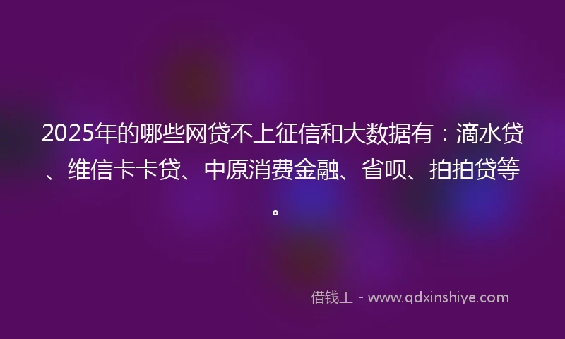 2025年的哪些网贷不上征信和大数据有:滴水贷、维信卡卡贷、中原消费金融、省呗、拍拍贷等。