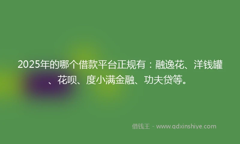 2025年的哪个借款平台正规有：融逸花、洋钱罐、花呗、度小满金融、功夫贷等。