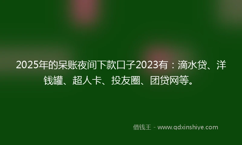 2025年的呆账夜间下款口子2023有：滴水贷、洋钱罐、超人卡、投友圈、团贷网等。