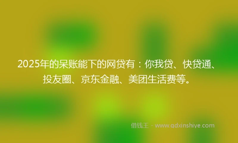 2025年的呆账能下的网贷有：你我贷、快贷通、投友圈、京东金融、美团生活费等。