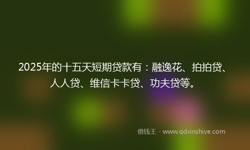 2025年的十五天短期贷款有：融逸花、拍拍贷、人人贷、维信卡卡贷、功夫贷等。