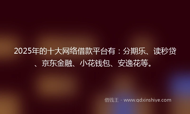 2025年的十大网络借款平台有：分期乐、读秒贷、京东金融、小花钱包、安逸花等。