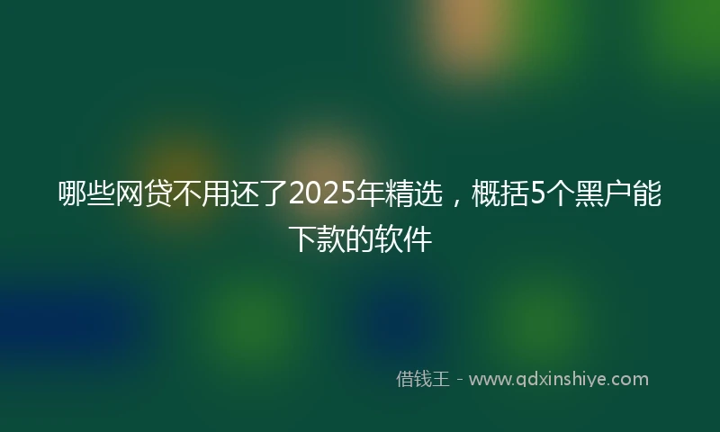 哪些网贷不用还了2025年精选，概括5个黑户能下款的软件