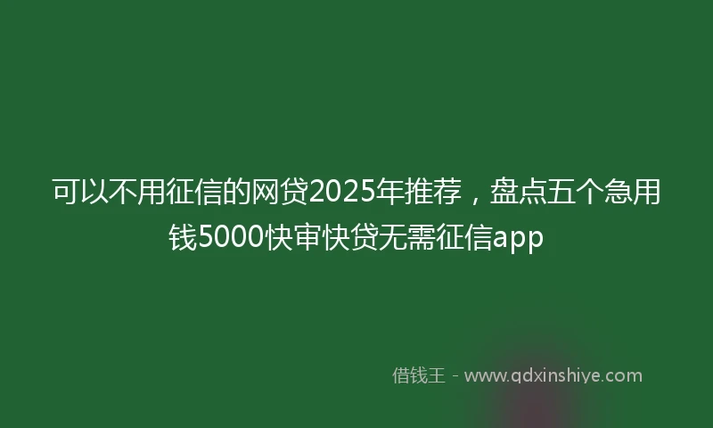 可以不用征信的网贷2025年推荐，盘点五个急用钱5000快审快贷无需征信app