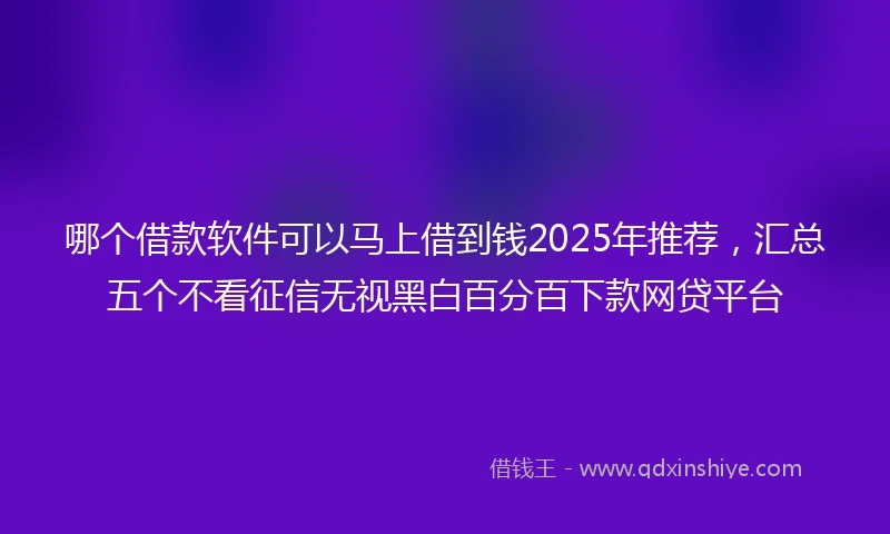 哪个借款软件可以马上借到钱2025年推荐，汇总五个不看征信无视黑白百分百下款网贷平台