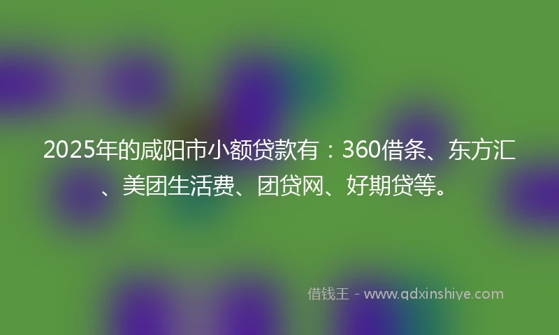2025年的咸阳市小额贷款有：360借条、东方汇、美团生活费、团贷网、好期贷等。