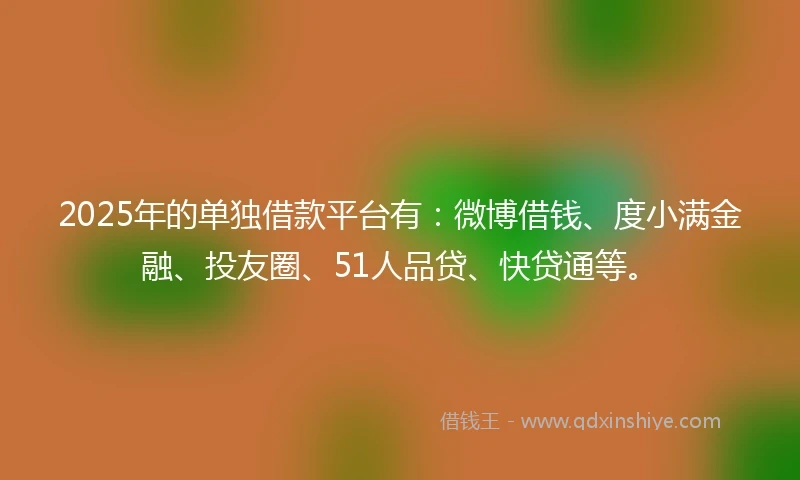 2025年的单独借款平台有：微博借钱、度小满金融、投友圈、51人品贷、快贷通等。