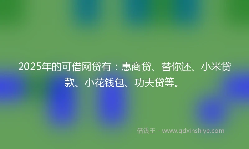 2025年的可借网贷有：惠商贷、替你还、小米贷款、小花钱包、功夫贷等。
