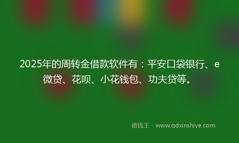 2025年的周转金借款软件有：平安口袋银行、e微贷、花呗、小花钱包、功夫贷等。