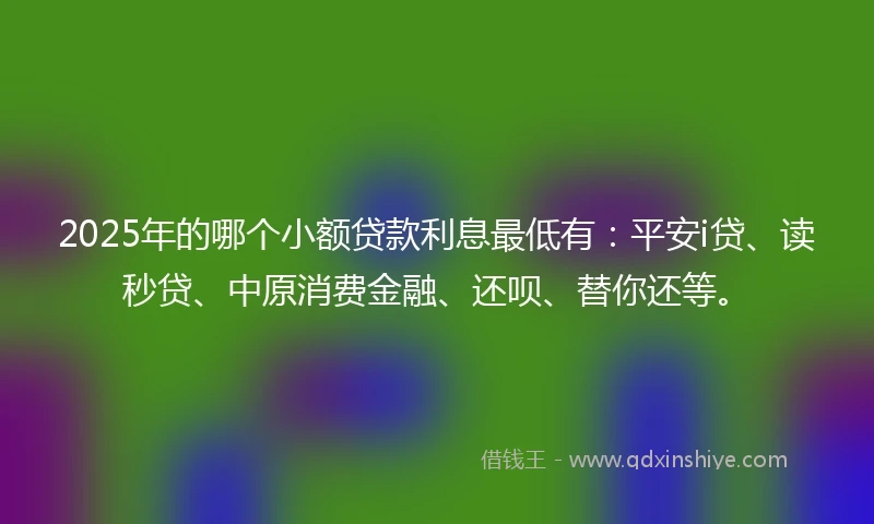 2025年的哪个小额贷款利息最低有：平安i贷、读秒贷、中原消费金融、还呗、替你还等。