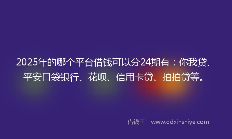 2025年的哪个平台借钱可以分24期有：你我贷、平安口袋银行、花呗、信用卡贷、拍拍贷等。