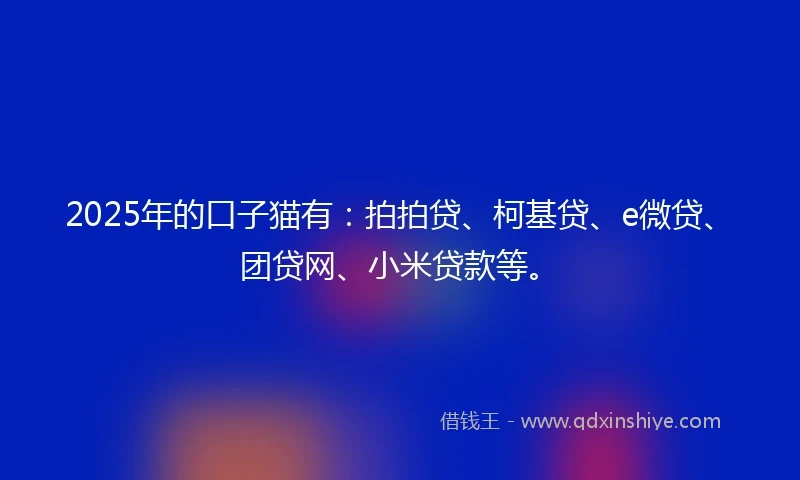 2025年的口子猫有：拍拍贷、柯基贷、e微贷、团贷网、小米贷款等。