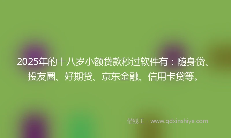 2025年的十八岁小额贷款秒过软件有：随身贷、投友圈、好期贷、京东金融、信用卡贷等。