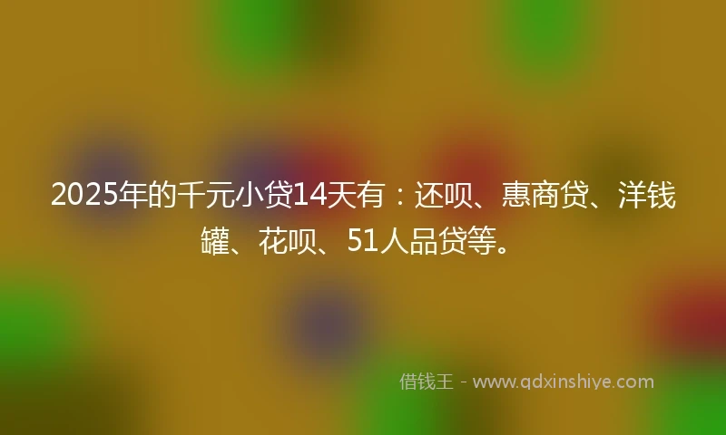 2025年的千元小贷14天有：还呗、惠商贷、洋钱罐、花呗、51人品贷等。
