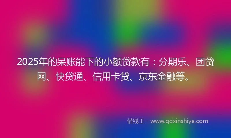 2025年的呆账能下的小额贷款有：分期乐、团贷网、快贷通、信用卡贷、京东金融等。
