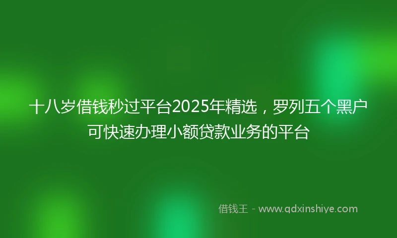 十八岁借钱秒过平台2025年精选，罗列五个黑户可快速办理小额贷款业务的平台