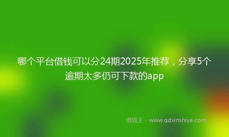 哪个平台借钱可以分24期2025年推荐,分享5个逾期太多仍可下款的app