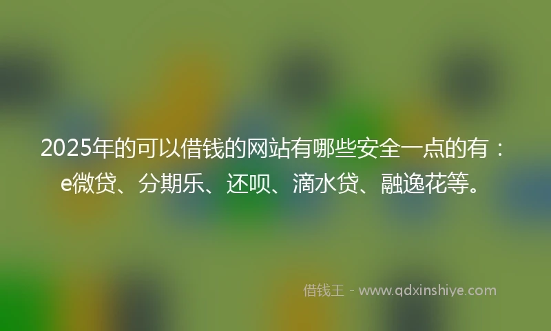 2025年的可以借钱的网站有哪些安全一点的有:e微贷、分期乐、还呗、滴水贷、融逸花等。