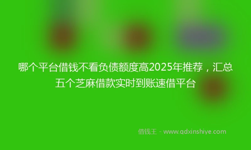 哪个平台借钱不看负债额度高2025年推荐，汇总五个芝麻借款实时到账速借平台
