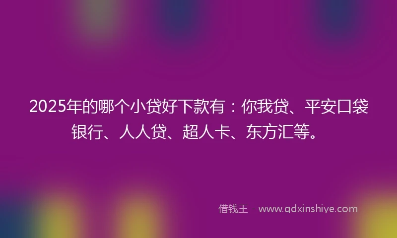 2025年的哪个小贷好下款有：你我贷、平安口袋银行、人人贷、超人卡、东方汇等。