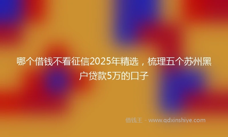 哪个借钱不看征信2025年精选，梳理五个苏州黑户贷款5万的口子