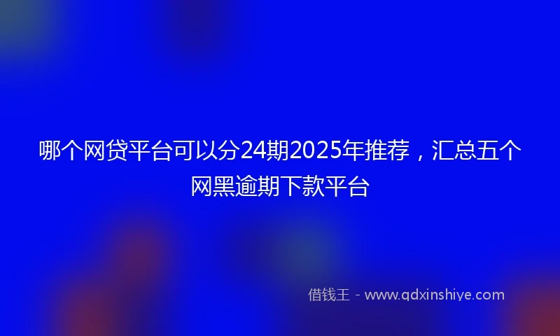 哪个网贷平台可以分24期2025年推荐，汇总五个网黑逾期下款平台