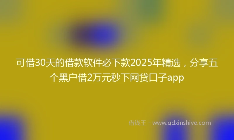 可借30天的借款软件必下款2025年精选，分享五个黑户借2万元秒下网贷口子app
