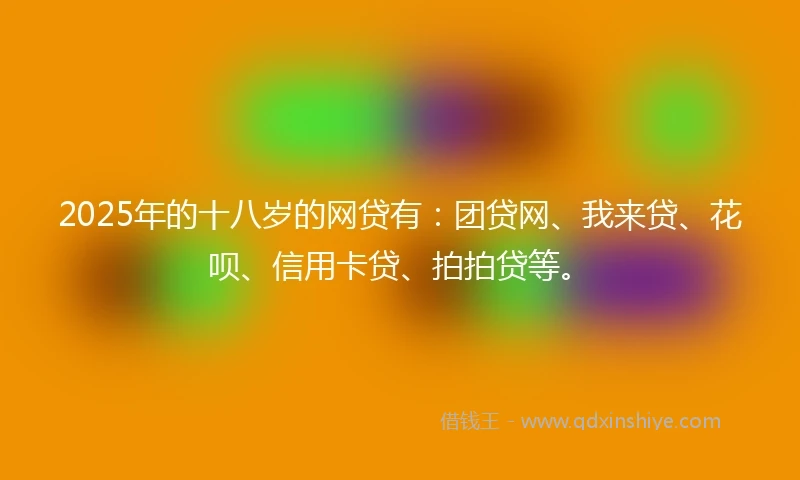 2025年的十八岁的网贷有：团贷网、我来贷、花呗、信用卡贷、拍拍贷等。