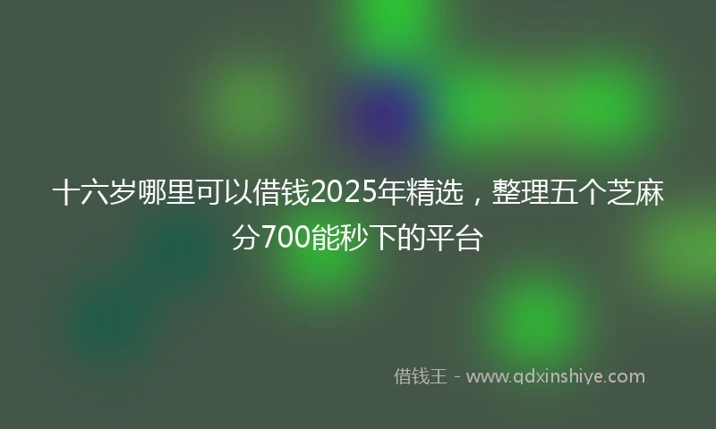 十六岁哪里可以借钱2025年精选，整理五个芝麻分700能秒下的平台